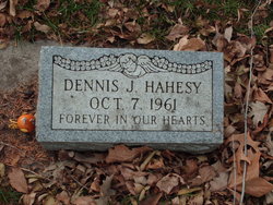 Dennis J Hahesy 