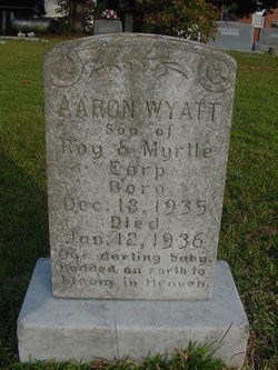 Aaron Wyatt Earp 
