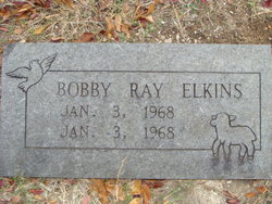 Bobby Ray Elkins 
