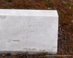 Harvey L Stephens 