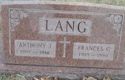 Anthony J Lang 