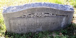 Hillborn Chedister “Ched” Botkin 