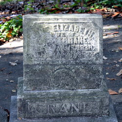 Jane Elizabeth <I>Davidson</I> Crane 