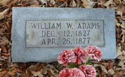 William Winans Adams 