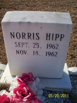 Norris William Hipp 