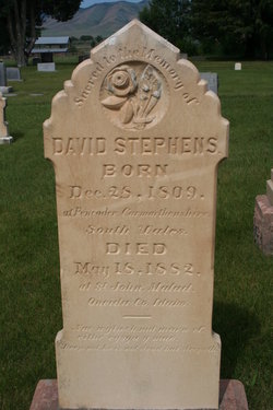 David Stephens 