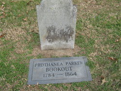 Prothanea <I>Parker</I> Bookout 