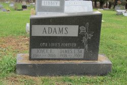 Joyce E. <I>Libbey</I> Adams 