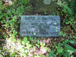 David J. Caudill 