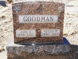 Joel Albert Goodman 