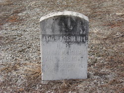 Amos Absolum Hart 