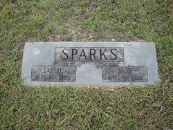 Sallie Elizabeth <I>Erwin</I> Sparks 