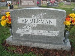 Charles H Ammerman 
