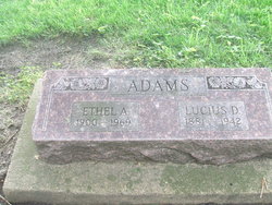 Lucius David Adams 