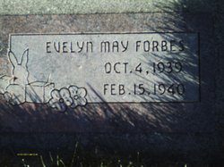 Evelyn May Forbes 