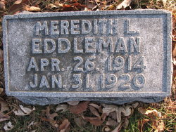 Meredith L Eddleman 