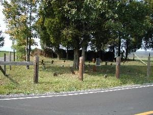 Barnes-Blue Family Cemetery