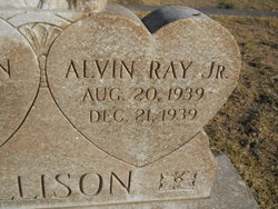 Alvin Ray Allison Jr.