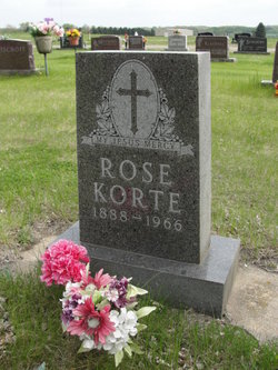 Rose <I>Wehseler</I> Korte 