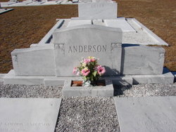William Gordon Anderson 