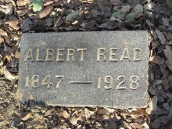 Albert Read 