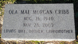 Ola Mae <I>Morgan</I> Cribb 