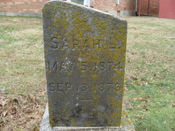 Sarah L Hawkins 
