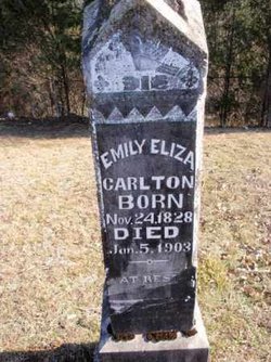 Emily Eliza <I>Hull</I> Carlton 