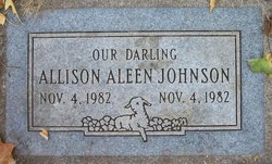 Allison Aleen Johnson 