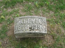 Alevia Alvis 