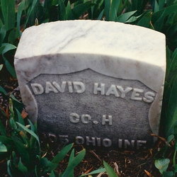 David Hayes 