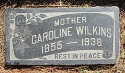 Martha Caroline <I>Seay</I> Wilkins 