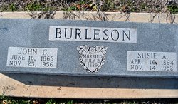 Susie Alice <I>Williamson</I> Burleson 