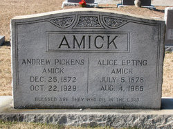 Alice Mae <I>Epting</I> Amick 