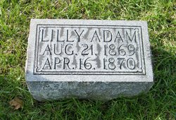 Lilly Adam 