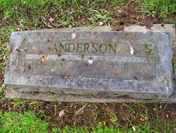 Nettie Marie <I>Anderson</I> Anderson 