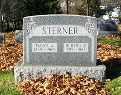 David Benjamin Sterner 