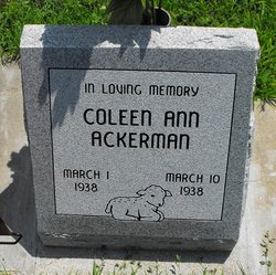 Coleen Ann Ackerman 