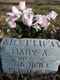 Mary Ann <I>Butler</I> Neill 
