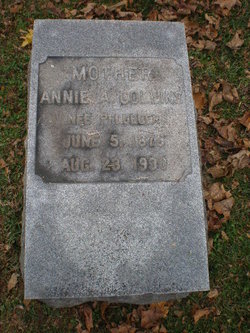 Annie Alice <I>Pflueger</I> Collins 