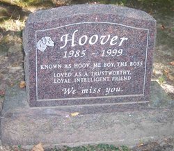 “Hoov, Me Boy, The Boss” Hoover 