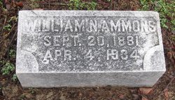 William Newton Ammons 