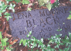 Lena Morine Black 