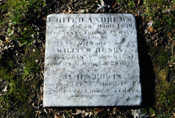 William Henry Andrews 