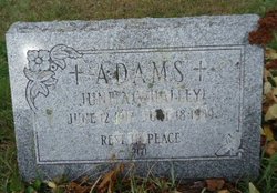 June A. <I>Whalley</I> Adams 