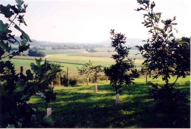 Norton-Gile Cemetery