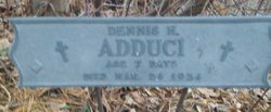 Dennis H Adduci 
