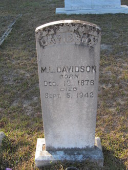 Moses Lafayette Davidson 