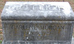 Carlene Morgan 