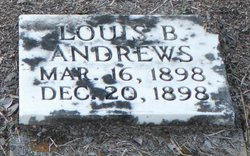 Louis B Andrews 